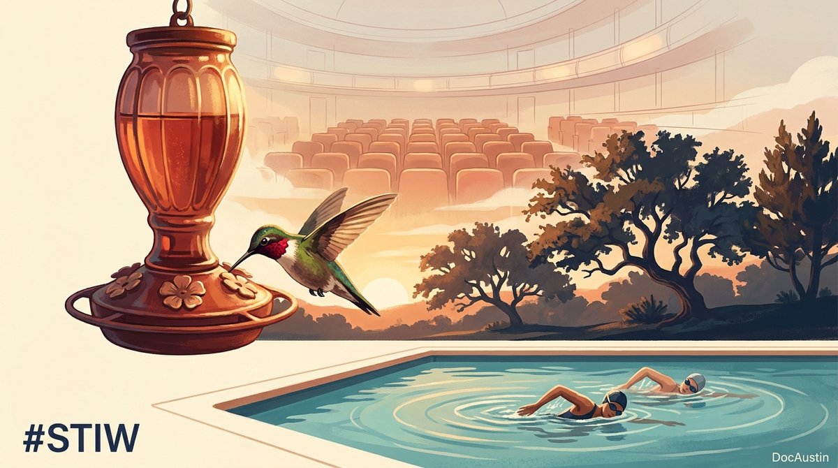 Illustration of a hummingbird at a feeder over a sunrise pool with two swimmers, a vast summit hall of seats ghosted into the sky, marked with #STIW and DocAustin
